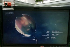 杭州高端ktv招聘商务礼仪,有没有技能培训