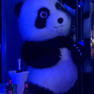 杭州余杭区良渚街道附近夜总会招聘商务礼仪,加班双倍工资吗？