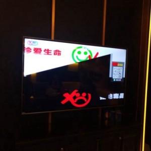 民航空乘招聘文案（探索蓝天之旅：航空乘务员招募启事）