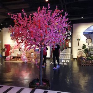 杭州萧山区围垦区附近酒吧招聘包厢服务员,接受新人的