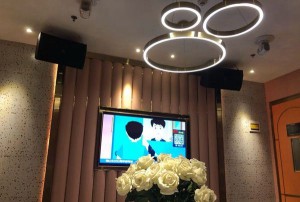 杭州西湖区双浦镇附近ktv招聘酒水促销员,(不需要ID卡)